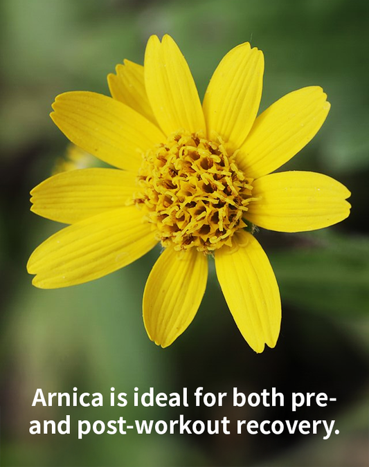 POWEROLL Muscle & Joint Arnica HERBAL HOT SPA 2 IN 1 PATCHES 2PCS #3762