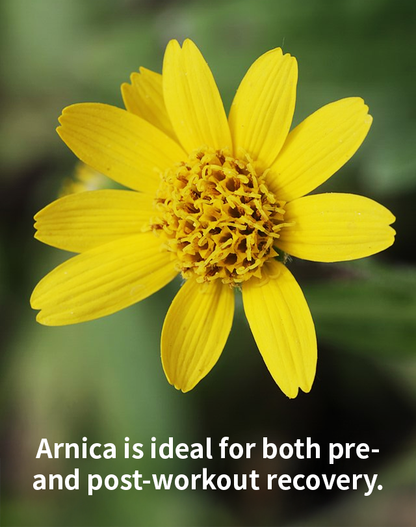 澳力宝 草本热敷贴2合1